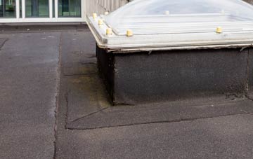 disadvantages of Hough On The Hill flat roofs