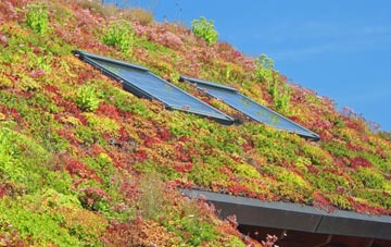 Hough On The Hill living roof systems